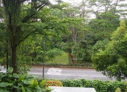 the-teneriffe photo thumbnail #3